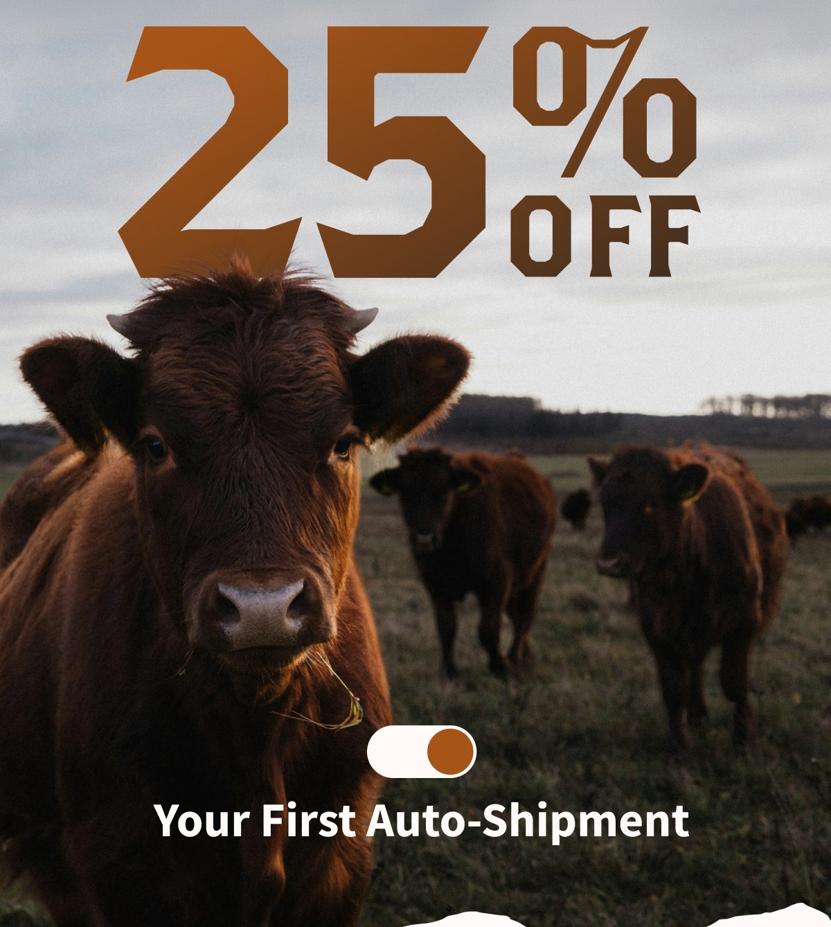 25% OFF Your First Auto-Shipment