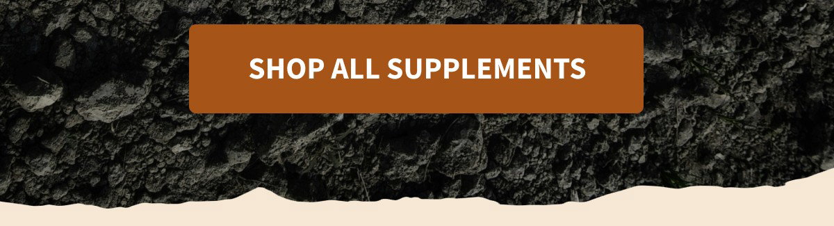 Shop All Supplements 