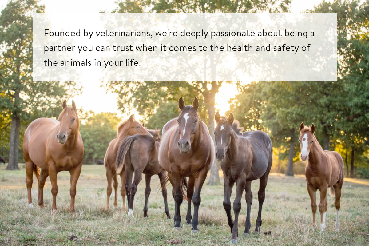 Founded by veterinarians, we're passionate about being a partner you can trust for the health and safety of the animals in your life.