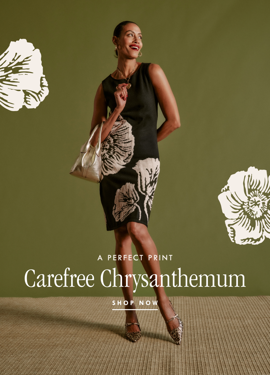 Carefree Chrysanthemum