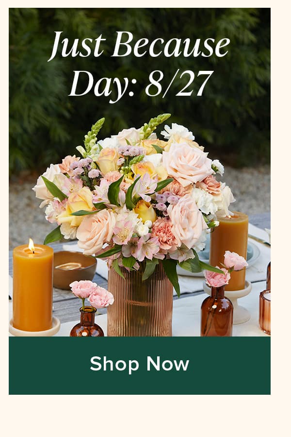 Just Because Day is 8/27. Shop Now. 