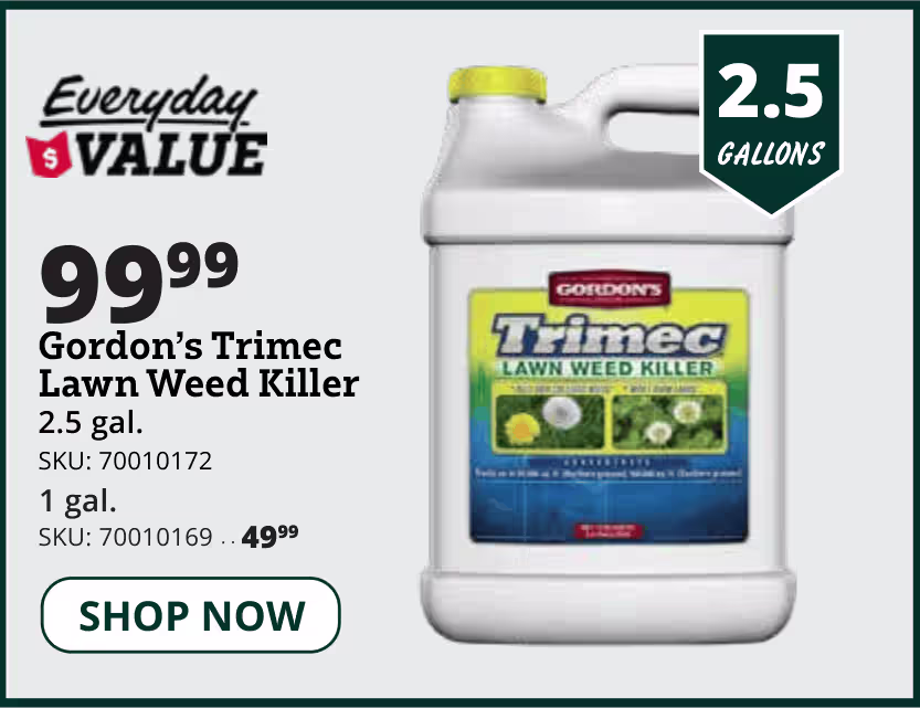 trimec weed killer