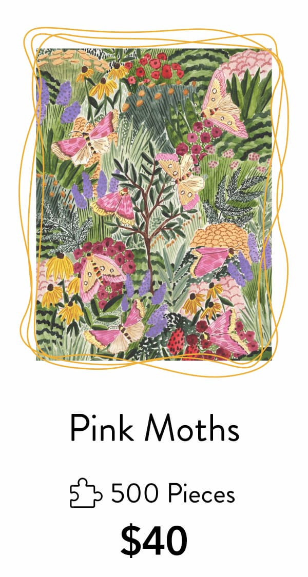 Pink Moths by Sara Boccaccini Meadows
