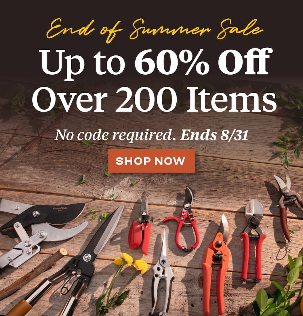 end of summer sale