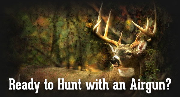 Ready to Hunt with an Airgun?