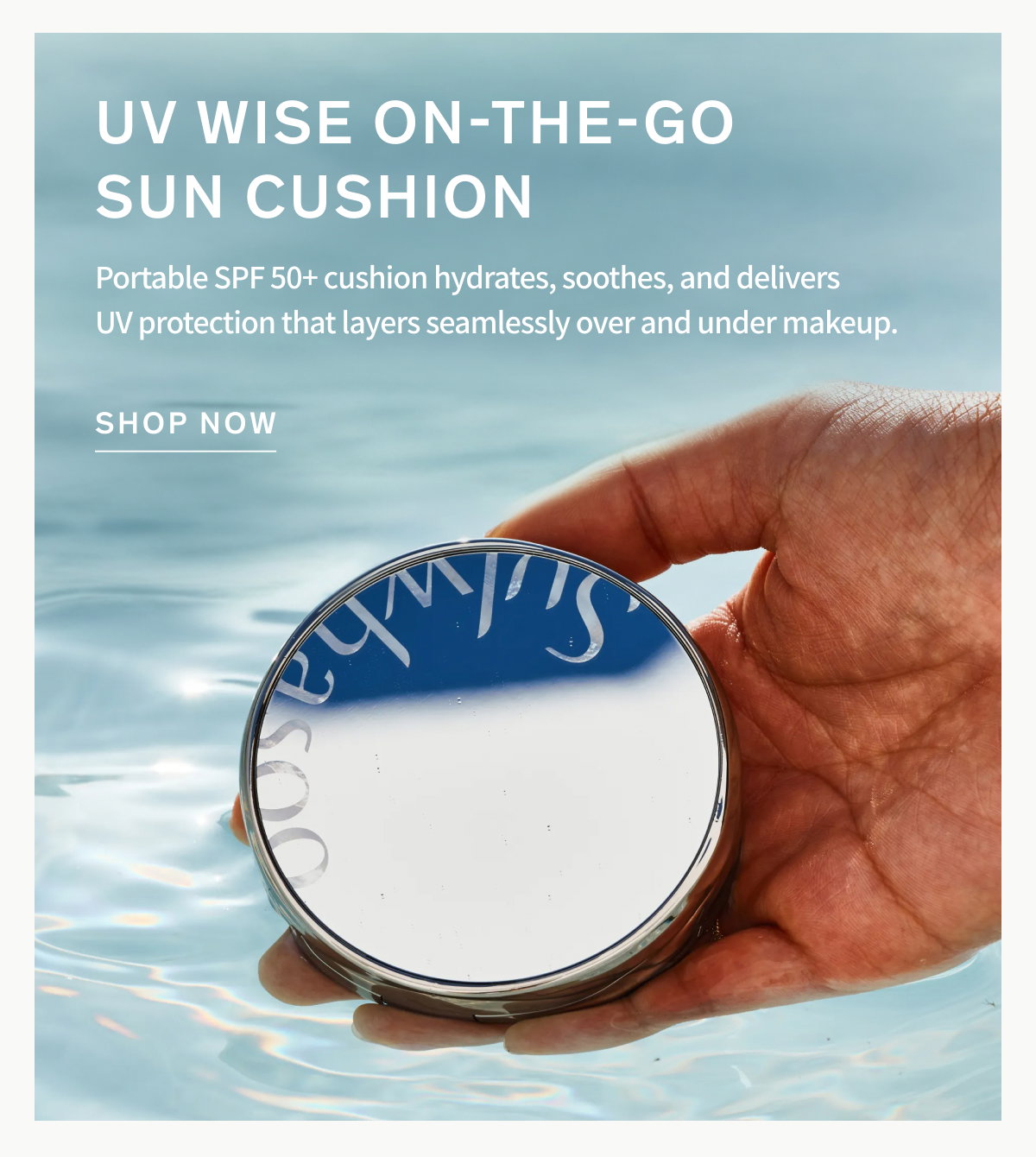 UV Wise Cushion