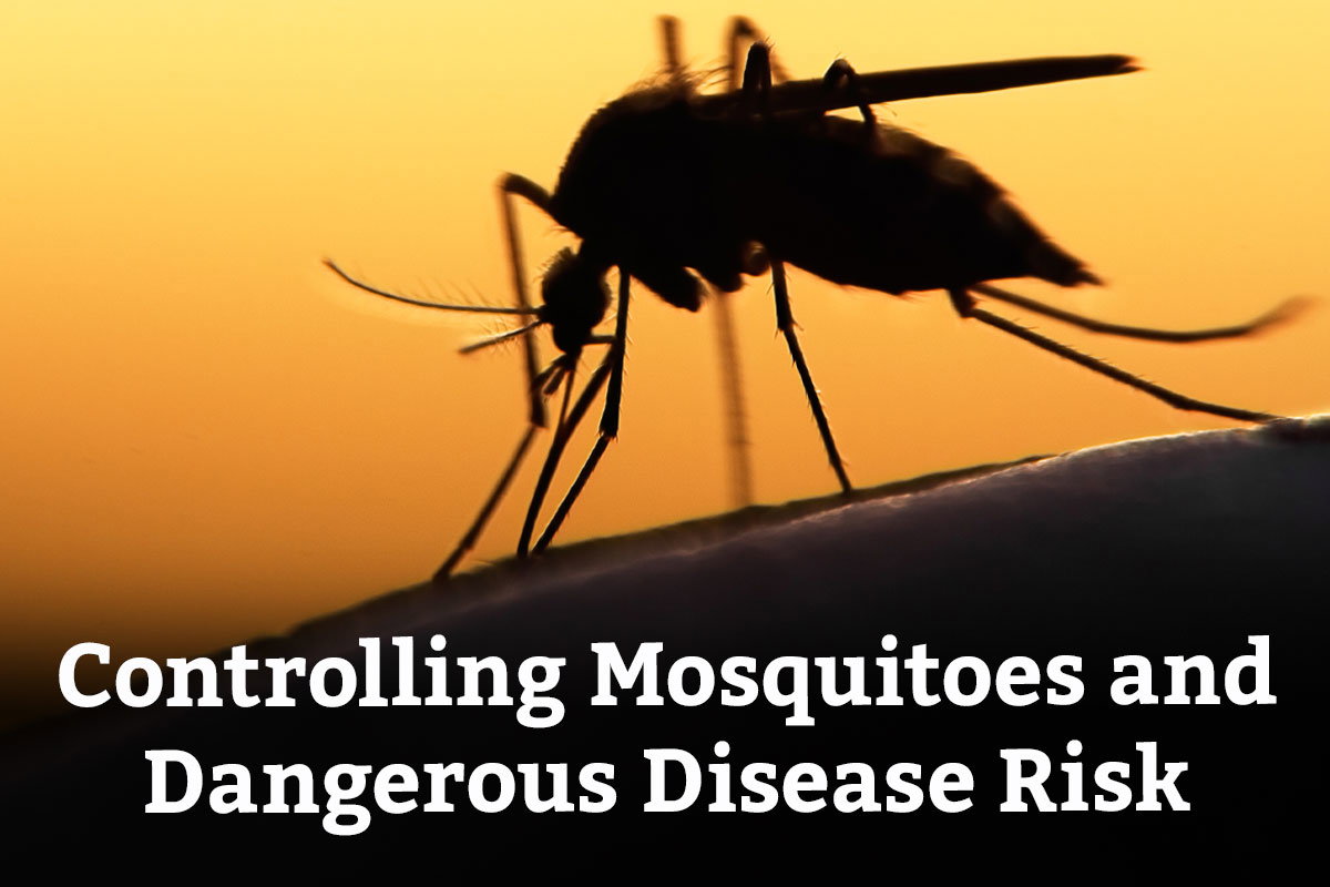 Controlling Mosquitoes and Dangerous Disease Risk - Learn More