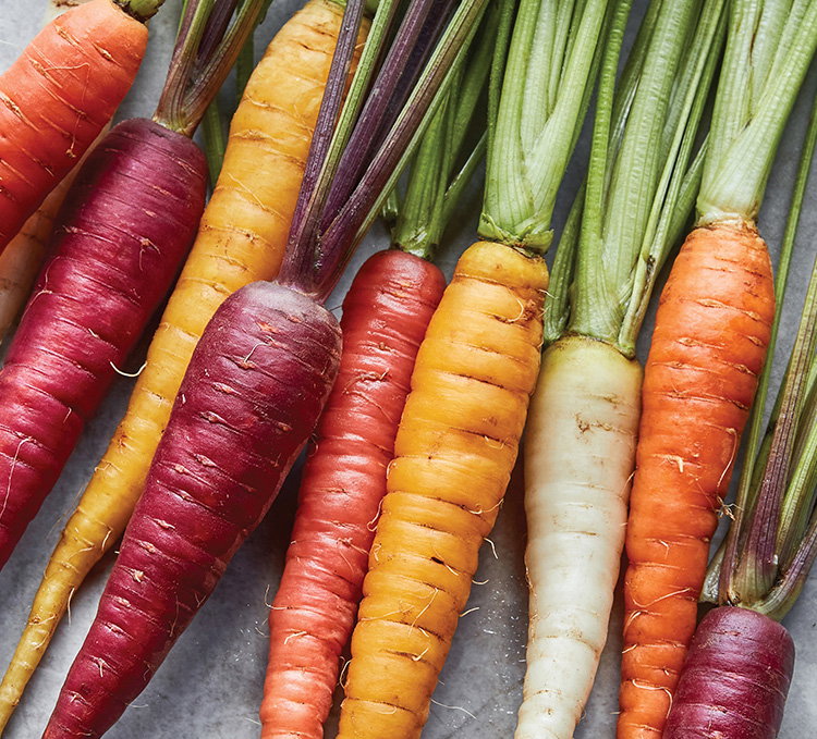 Kaleidoscope Blend Carrot Seeds