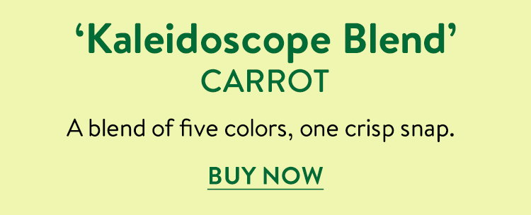 Kaleidoscope Blend Carrot Seeds