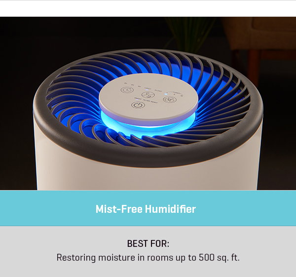 Mist-Free Humidifier