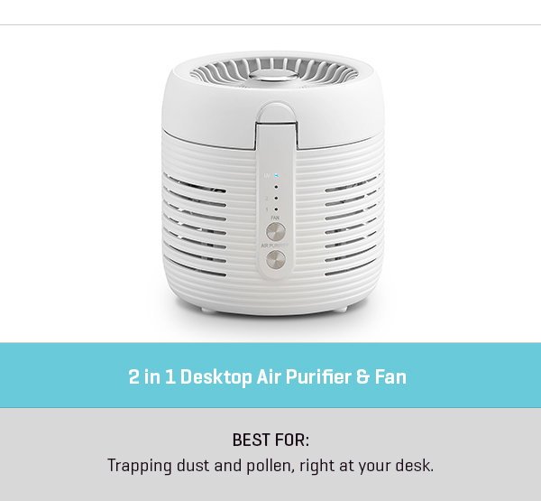 2 in 1 Desktop Air Purifier & Fan