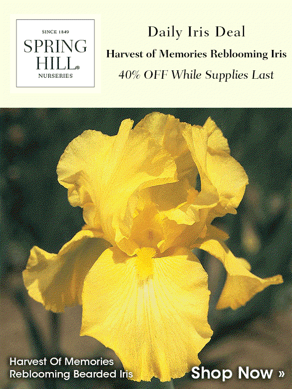 Daily Iris Deal: Harvest of Memories at 40% OFF