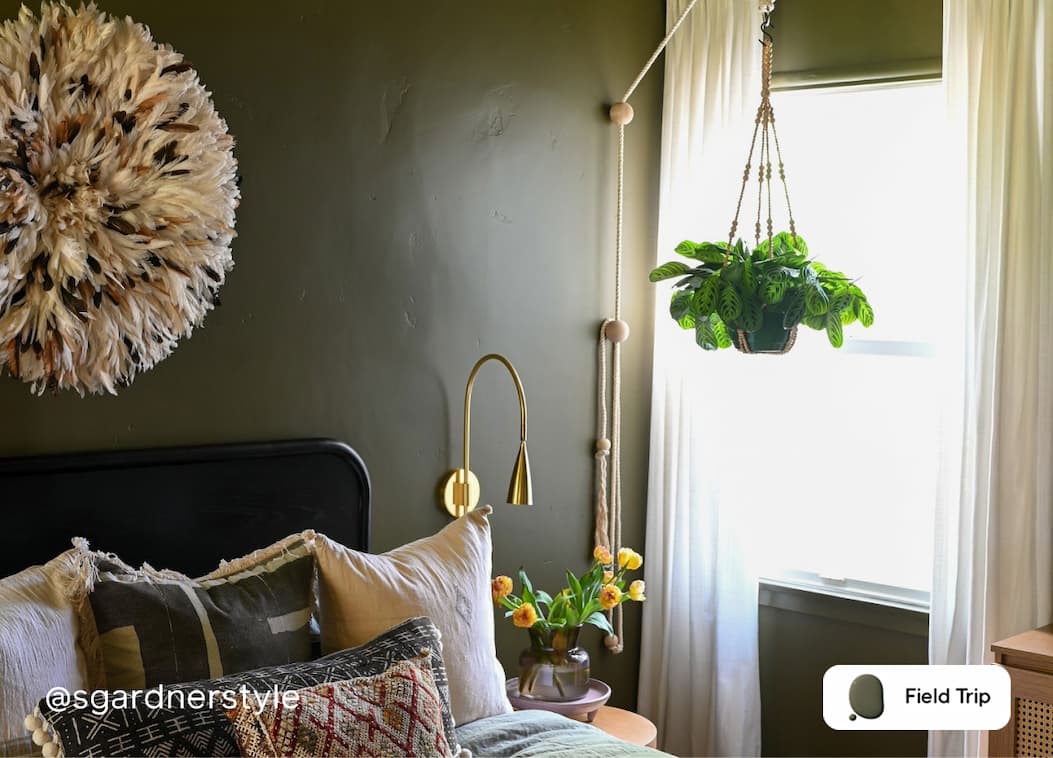 Bedroom featuring forest green paint color Field Trip