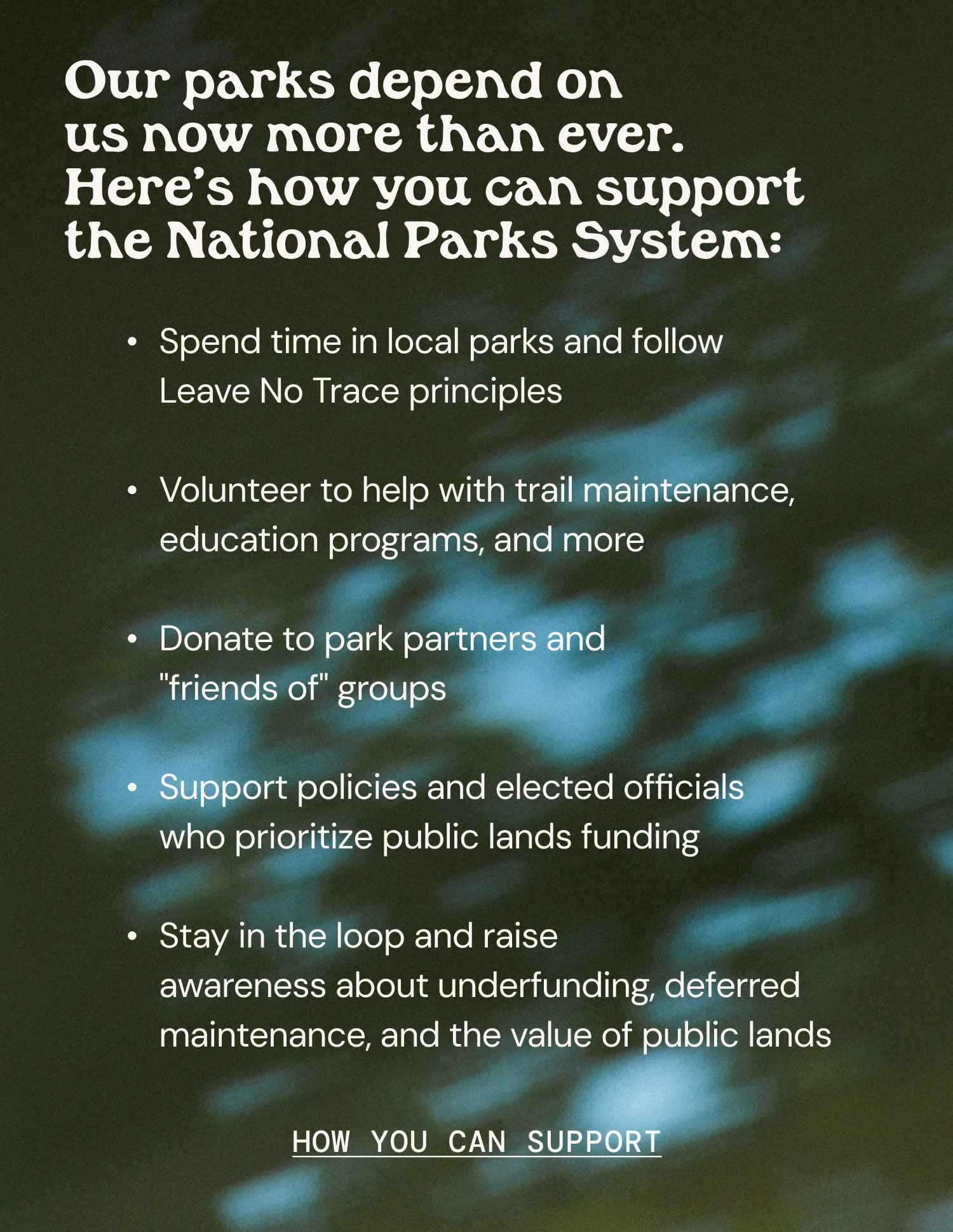 Our Parks Matter