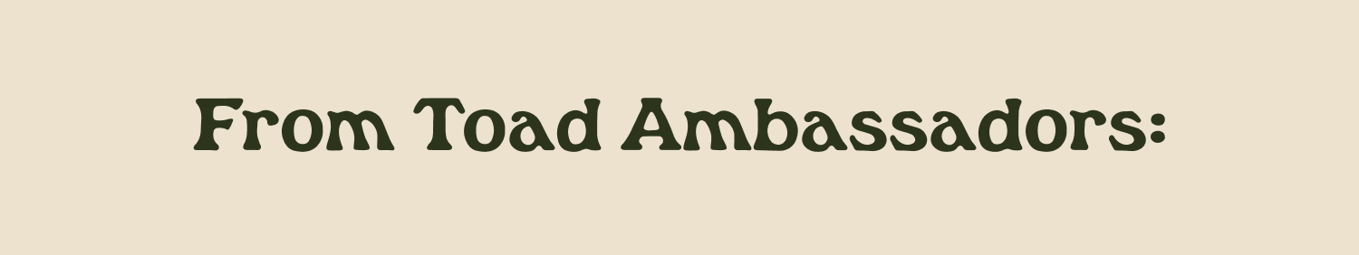 From Toad Ambassadors