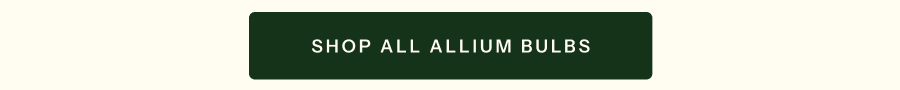 Shop All Allium Bulbs