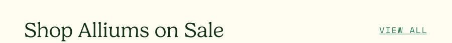 Shop Alliums on Sale