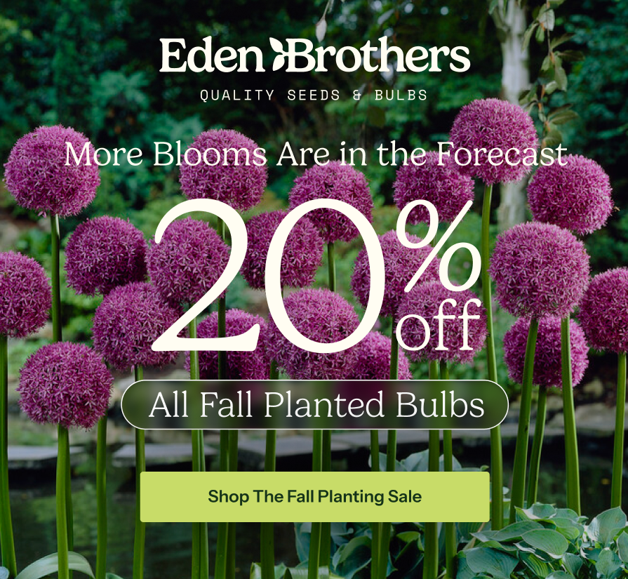20% Off Fall Bulbs