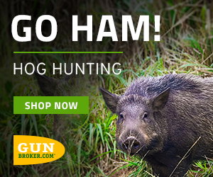Prepare for Hog Hunting on GunBroker