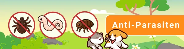 top banner