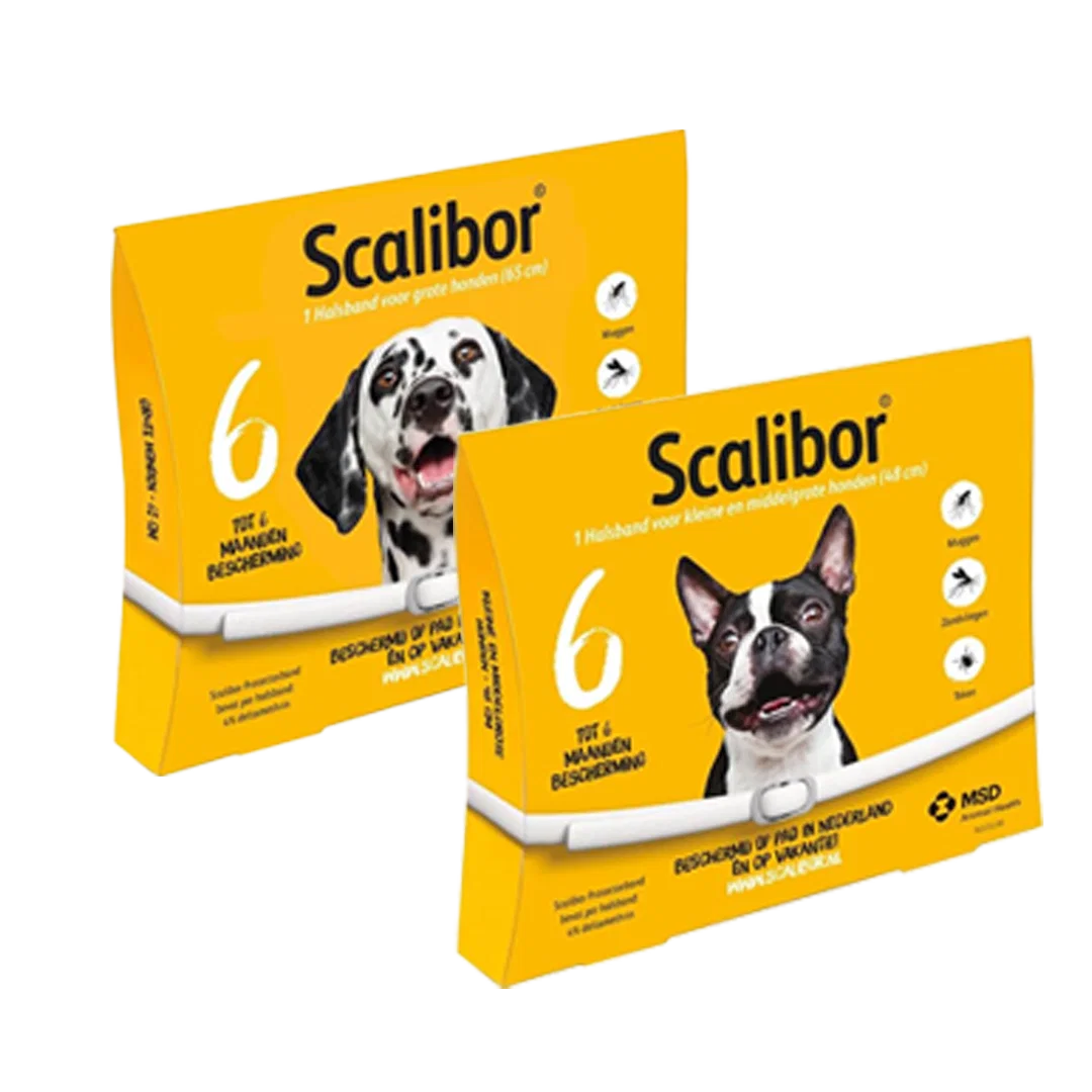 packshot