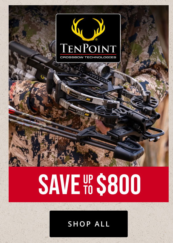 Ten Point
