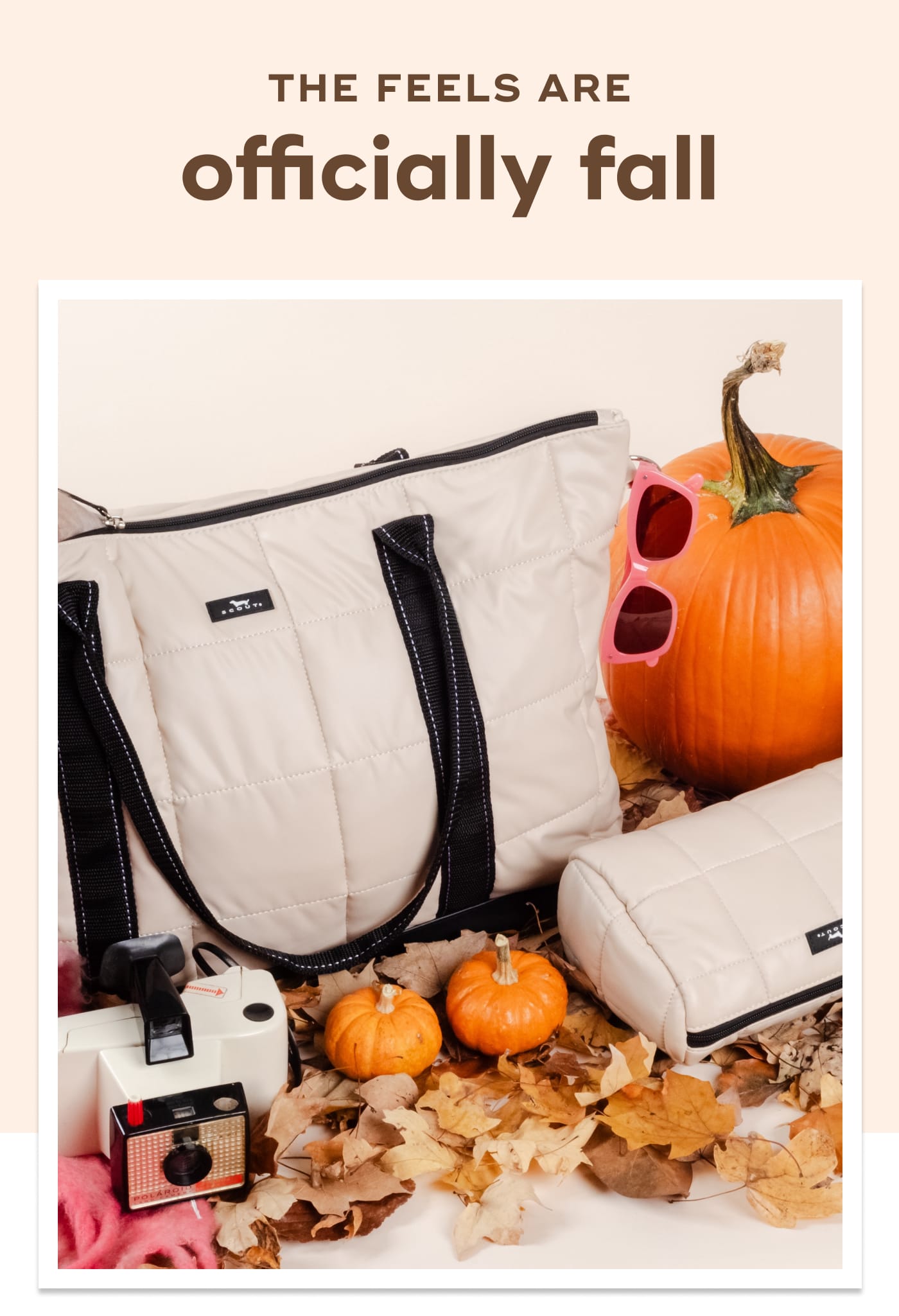 THE FEELS ARE. officially fall