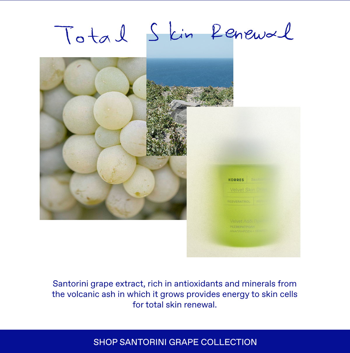 Shop santorini grape collection
