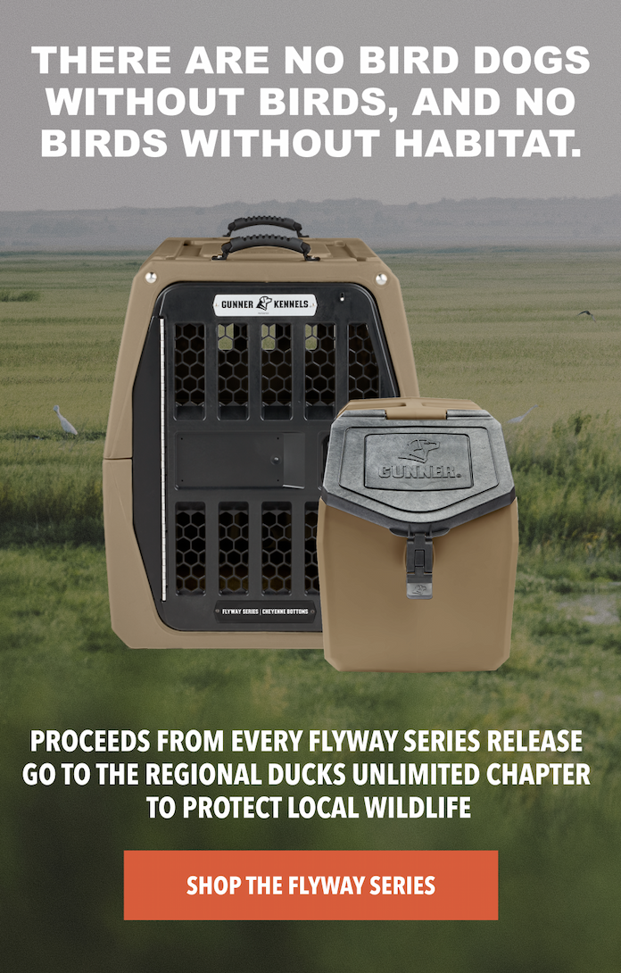 In Support of Ducks Unlimited