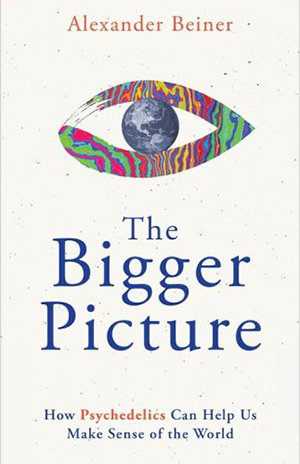 The Bigger Picture