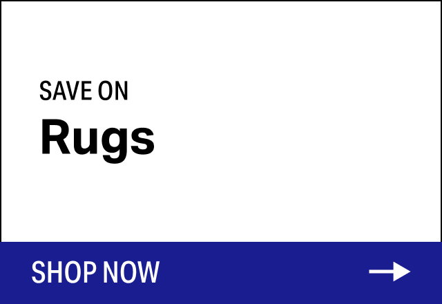 Save on Modern Rugs