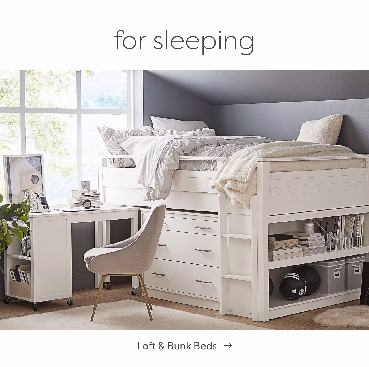 Loft and bunk beds