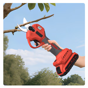 2-In-1 Cordless Mini Hedge Trimmer by LivingSURE™