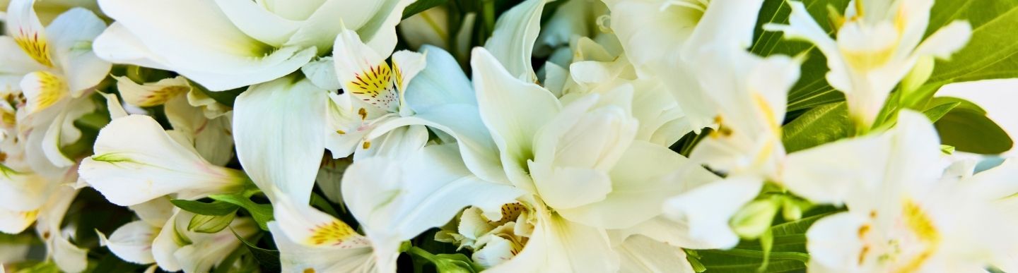 White lilies from Farmgirl Flowers