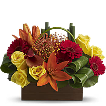Teleflora's Bamboo Getaway