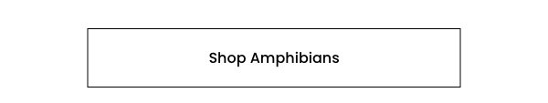 Shop Amphibians