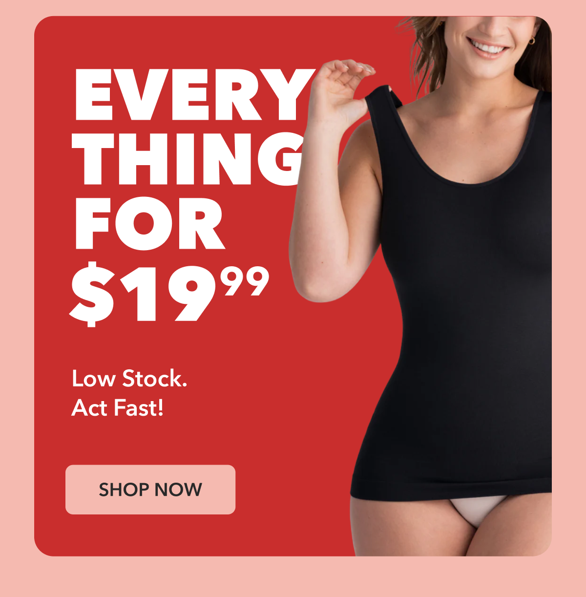 EVERYTHING FOR $19.99