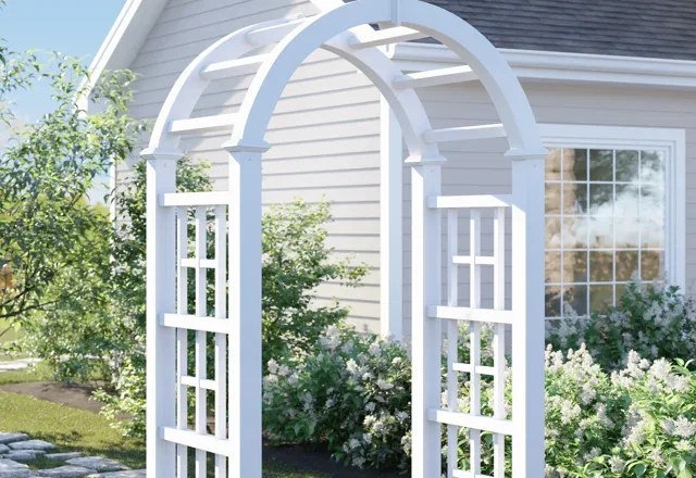 Our Top Arbors