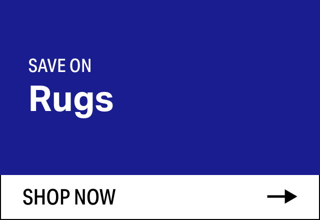 Save on Modern Rugs