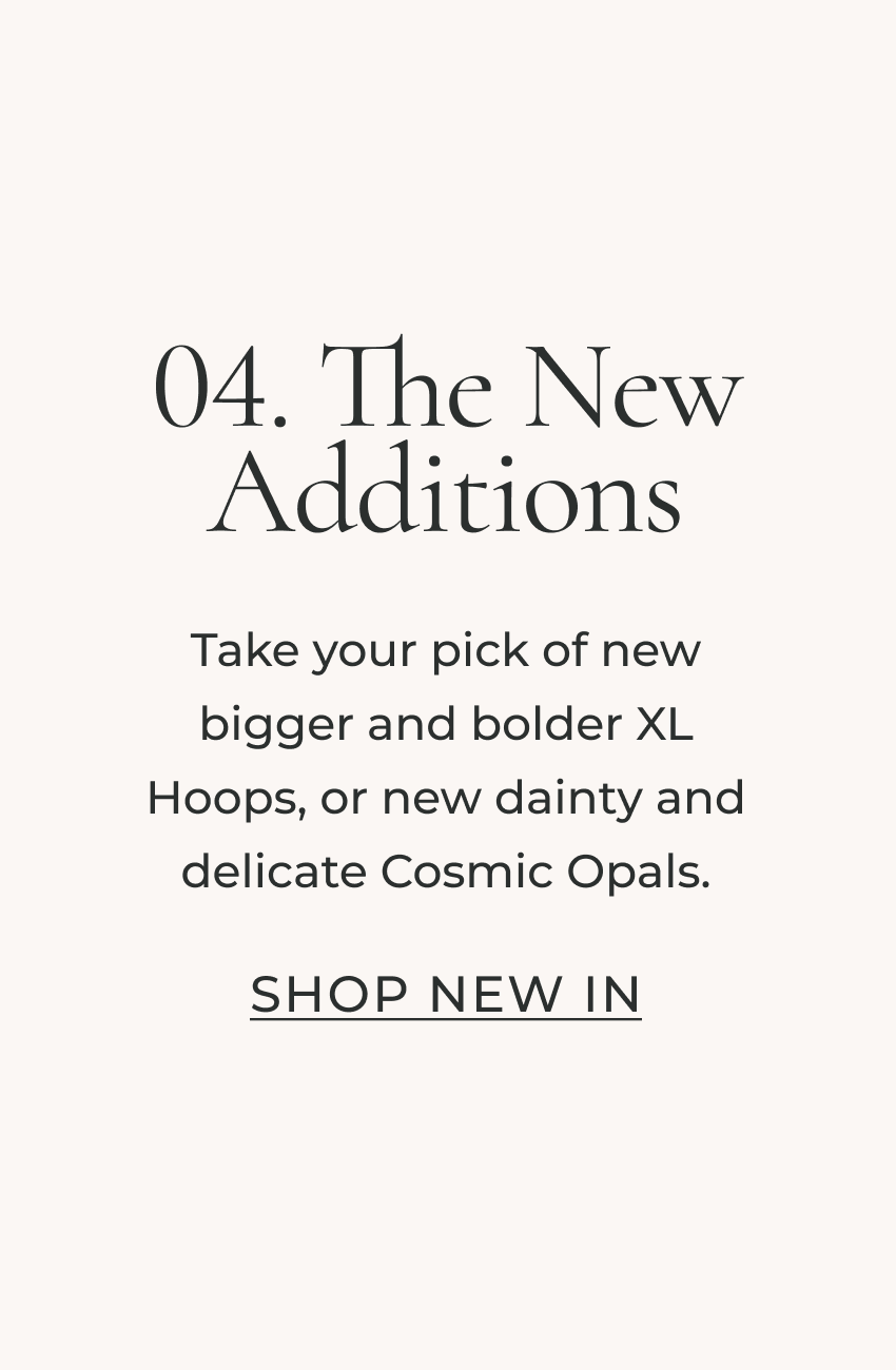 04. The New Additions