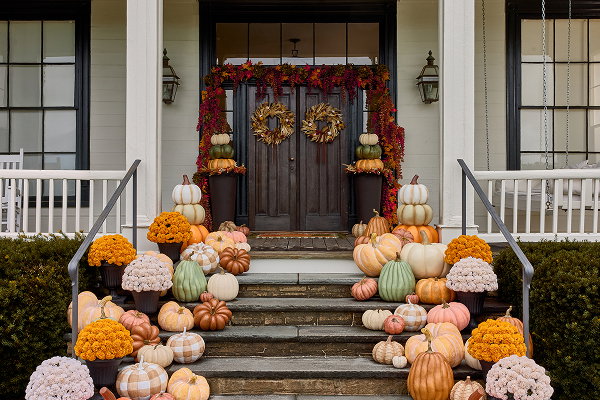 Fall Frenzy