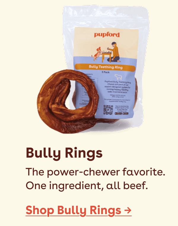 Shop Bully rings 