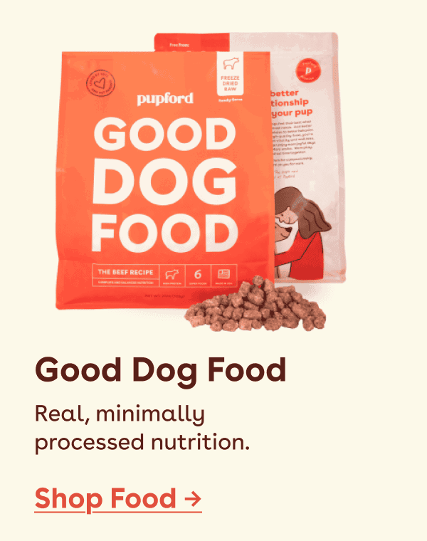 Good dog food