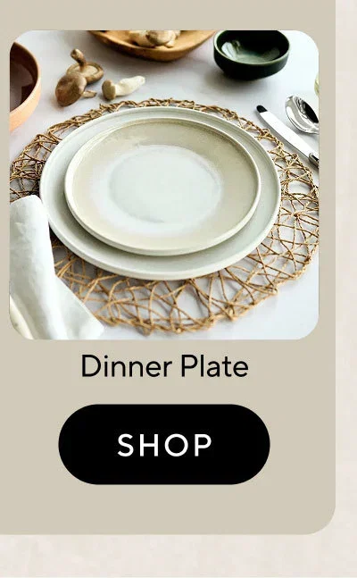 Sur la table Lucent Reactive Glaze Dinner Plate