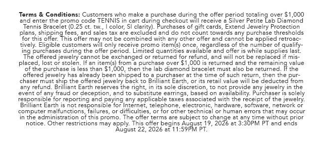 Promo Terms