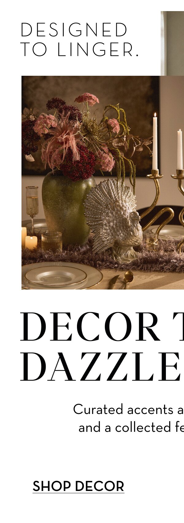 Shop Decor