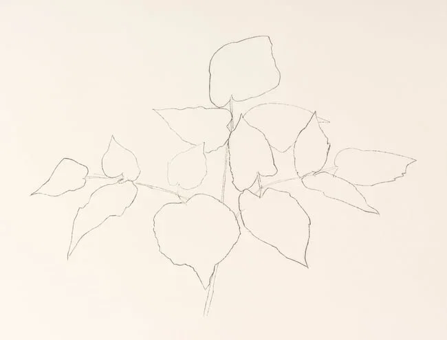Ellsworth Kelly 