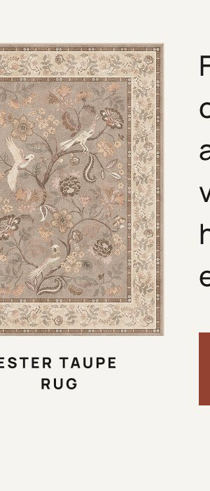 Ester Taupe Rugs