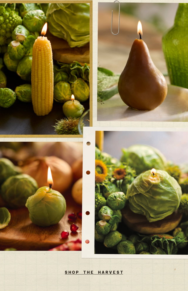 shop the harvest