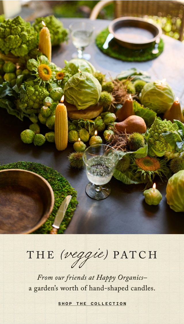 the veggie patch. shop the collection.